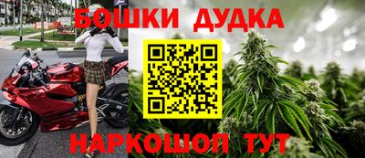 сатива Лесосибирск