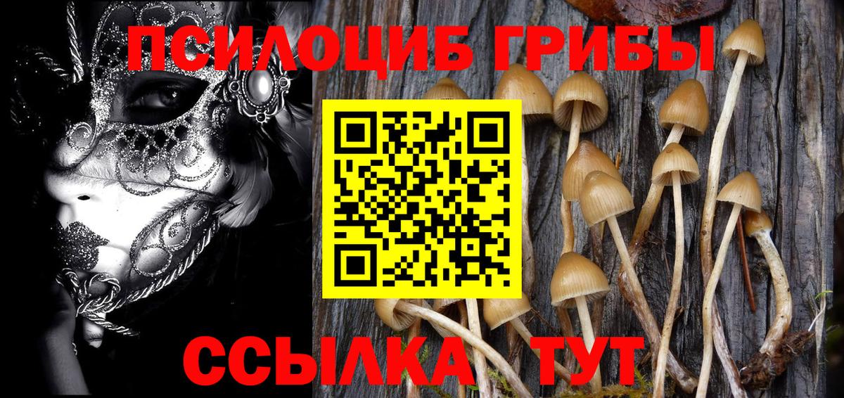 купить наркотик  Вход с VPN  Шарыпово  Псилоцибиновые грибы MAGIC MUSHROOMS 